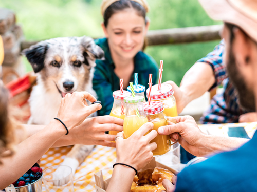 Family in summer outfits eating at an outdoor picnic table with their dog.