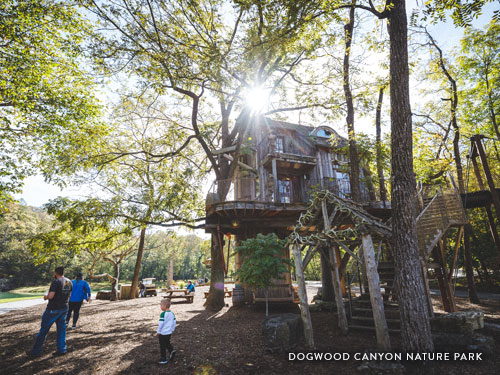 Outdoor playground and tree house in 10,000 acre nature park near Branson.