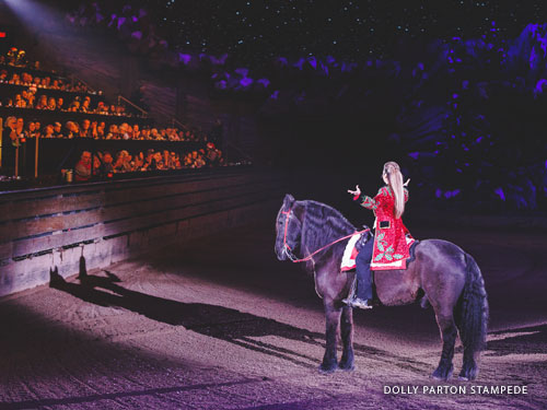 Woman wearing red uniform stopped in line with a spotlight while riding a horse and bowing to a large audience at a live show in Branson.