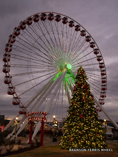 Christmas Tree on America's Christmas Tree City's Tour