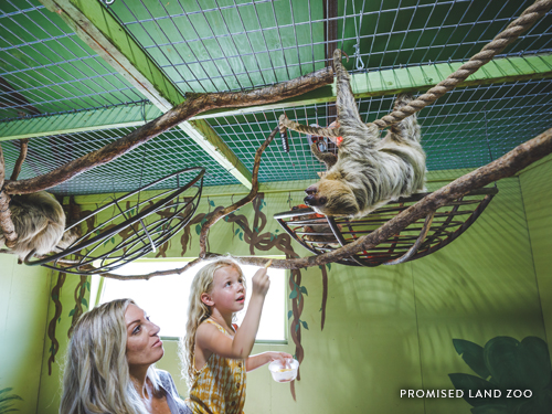 Mother and daughter playing with and feeding a live sloth at a zoo in Branson.