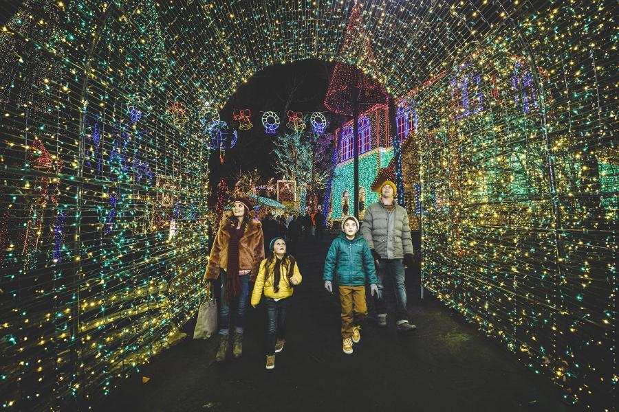 Young family walks through tunnel of green and yellow Christmas lights.