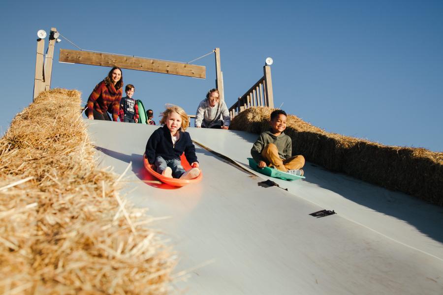 fall-festival-branson