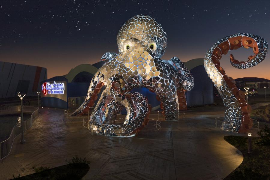 nighttime aquarium at the boardwalk