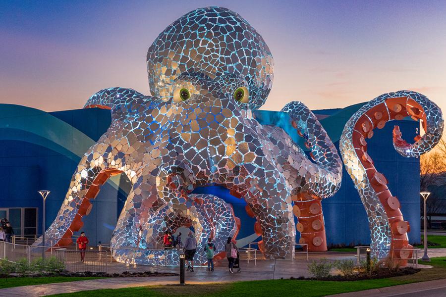Explore the depths at Branson's Aquarium at the Boardwalk.