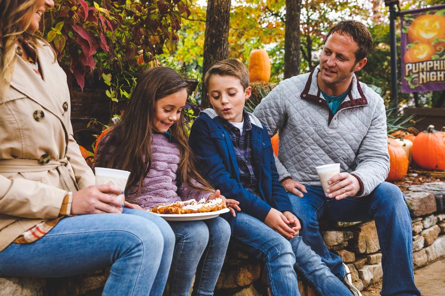 Have Fun with friends at one of our Harvest Festivals.