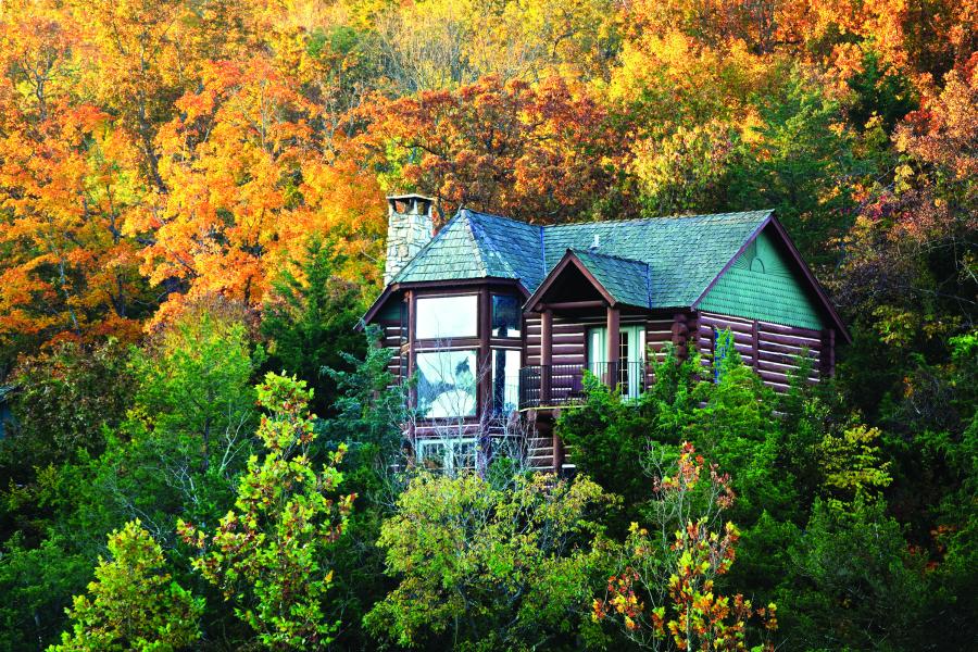 Big Cedar - cabinolder