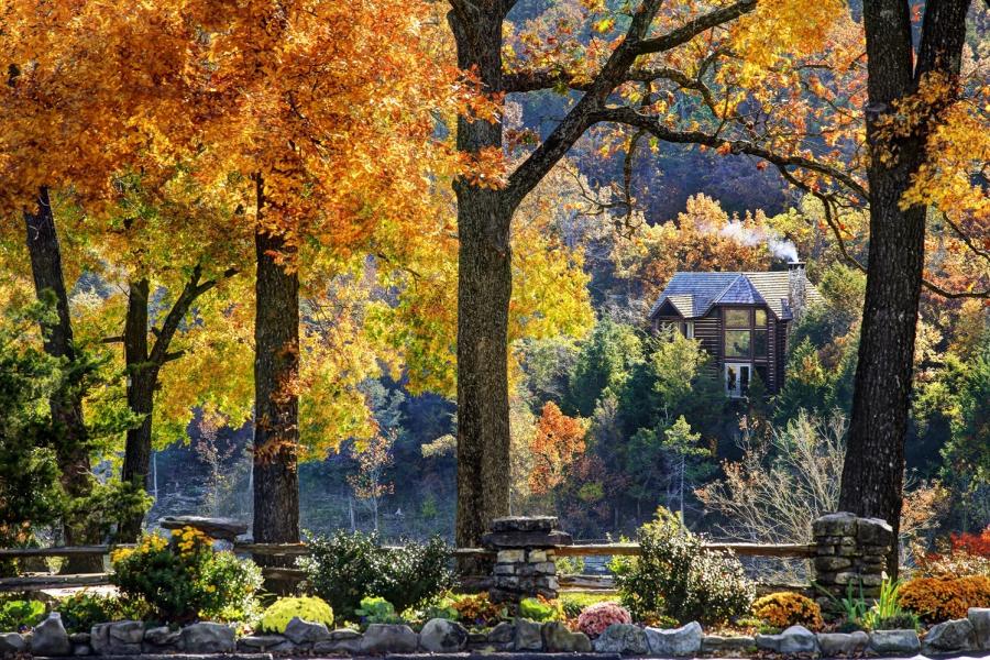 Cabin in Fall Color through Trees