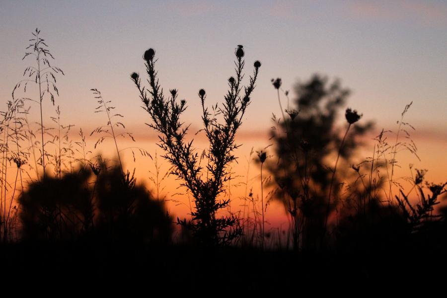 Fall_Lauren_Sunset_Summer_Trail