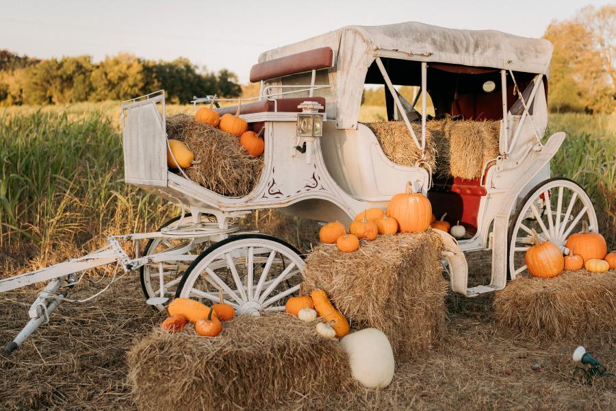 SycamoreCreekFallRoundup