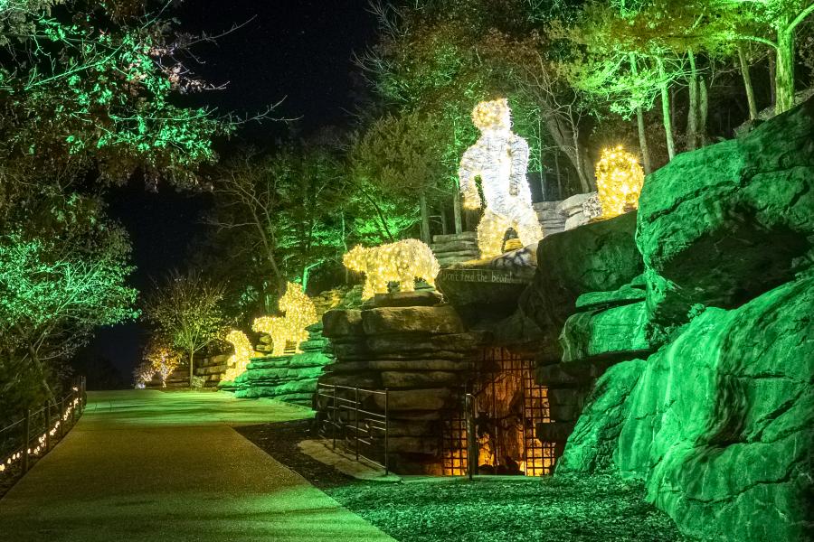 Top_Of_The_Rock_Lost_Canyon_Nature_at_Night_Light_Tour