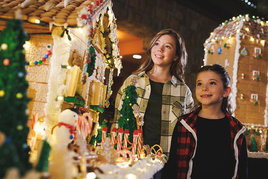 Christmas Chateau on the Lake Gingerbread House Girls Kids Winter