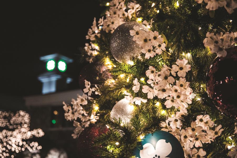 Christmas_Tree_Tour_White_Night