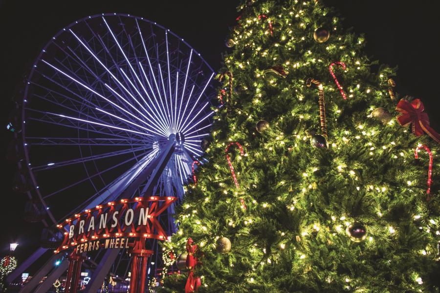 Ferris_Wheel_Christmas_Tree_Tour_Night