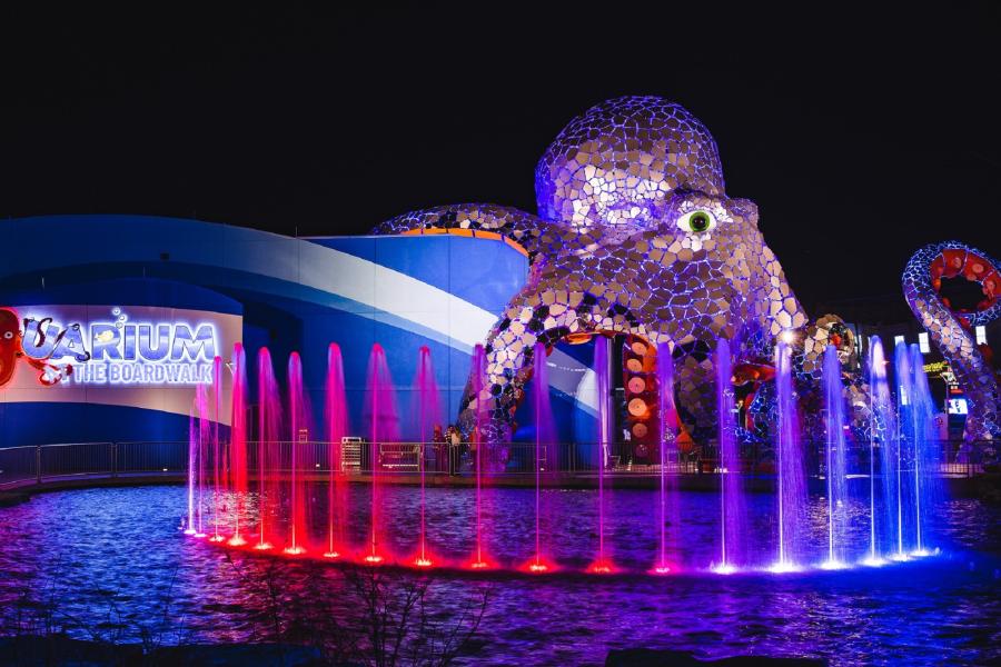 Aquarium at the Boardwalk