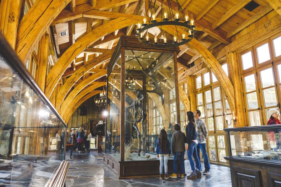 Dogwood_Canyon_Museum_Family_Fall_Attraction