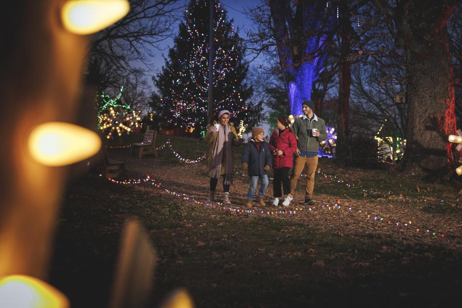Shepherd_Family_Night_Christmas_Lights
