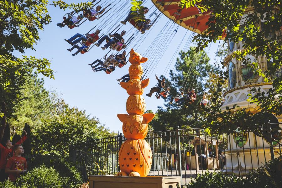SDC Fall
