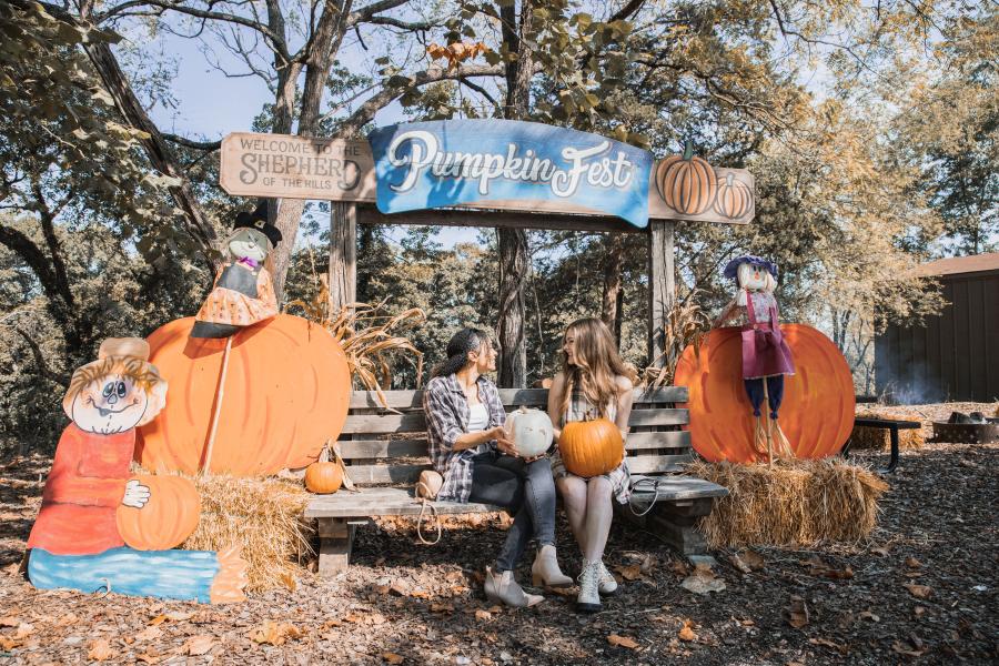 PumpkinFest 2021 Shepherd