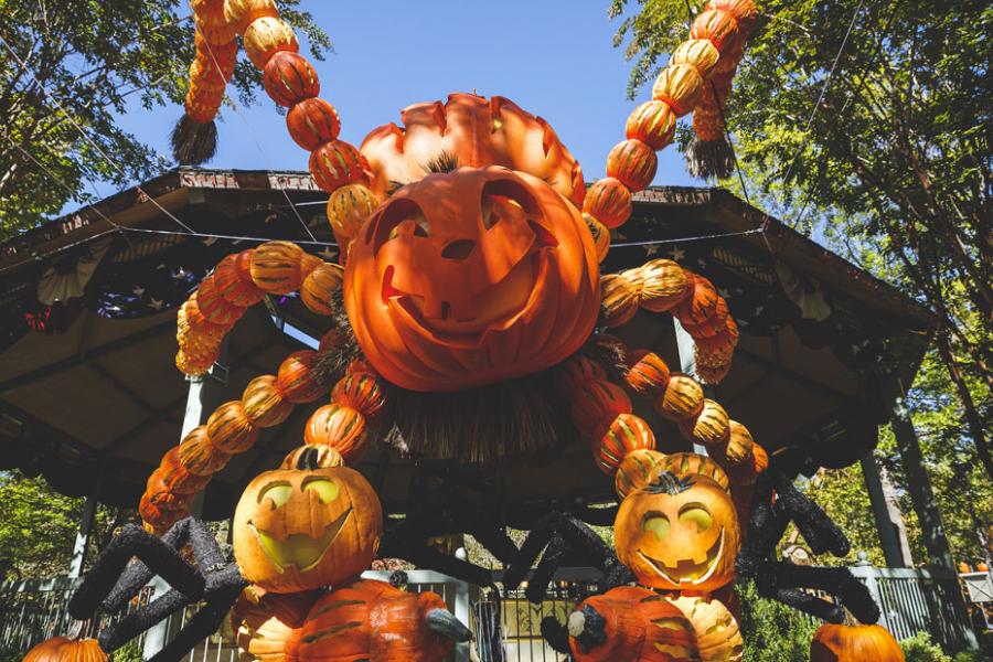 Giant spider made from hand-carved pumpkins at a theme park's fall festival in Branson.
