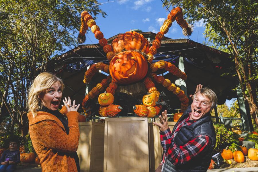 Man and woman standing in front of a giant spider made out of hand-carved pumpkins at a theme park's fall festival in Branson.