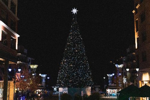 Branson Landing Tree