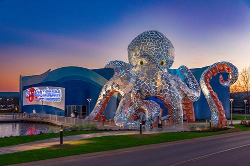 aquarium_octopus_at_sunset_in_branson