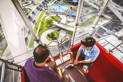 branson ferris wheel with family looking at view in cart