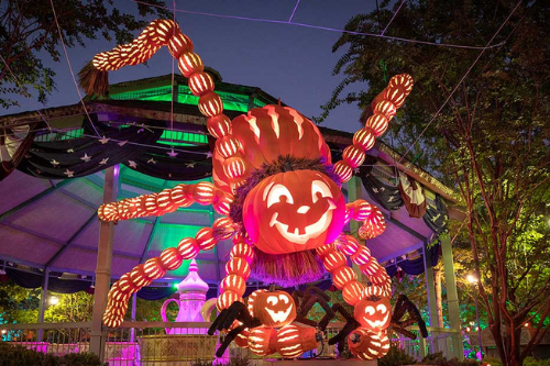 giant spider pumpkin carving sdc