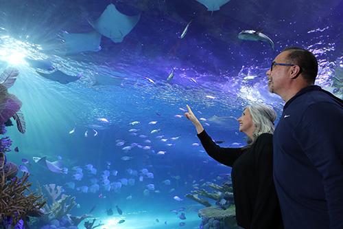 couple at branson aquarium