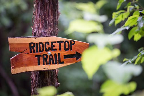 Ridge Top Trail Sign