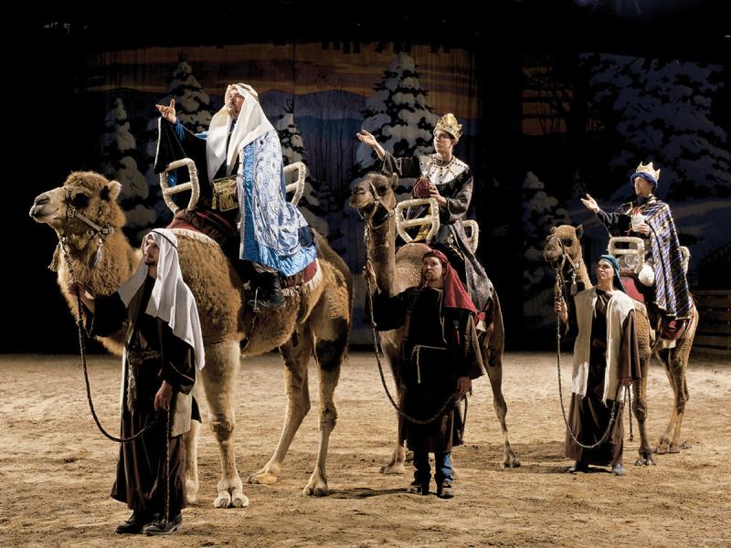 For a different show, check out the Christmas show at Dolly Parton's Stampede.