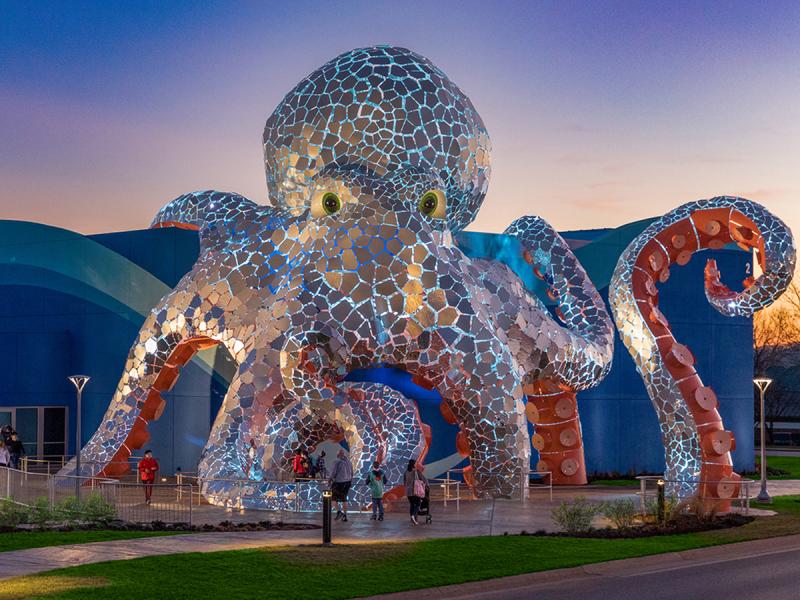 Explore the depths at Branson's Aquarium at the Boardwalk.
