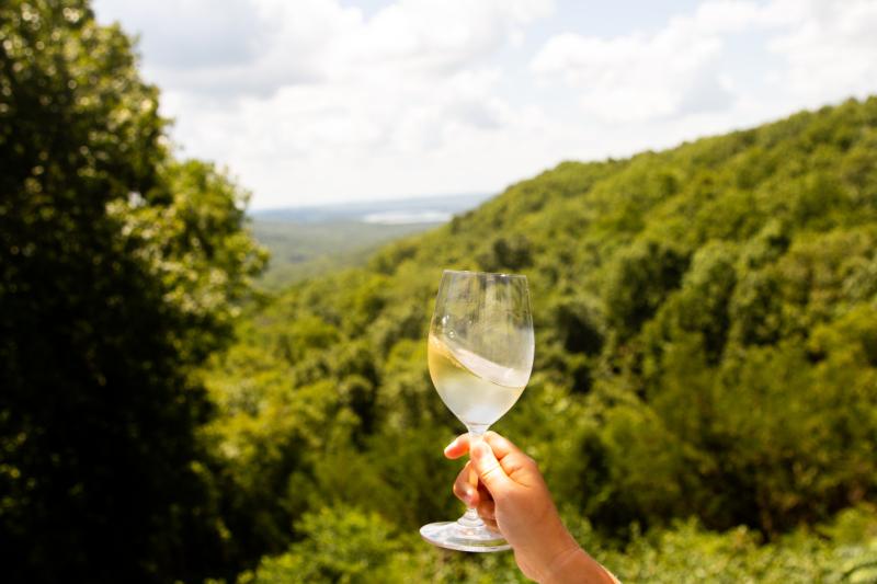 wine and mountain view