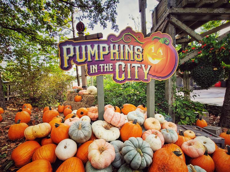 Relax this fall during Silver Dollar City's Pumpkins in the City Celebration!