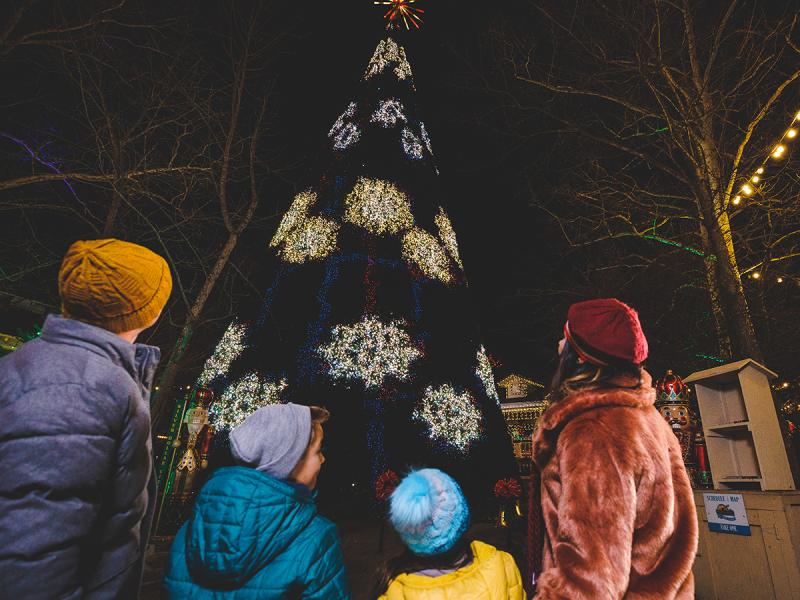 Explore the city of Branson with our Christmas Tree tour.