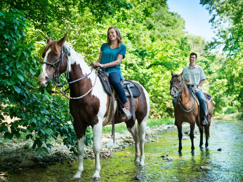 DogwoodHorsebackRiding