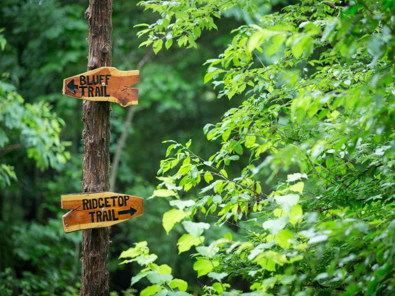 HikingTrailSigns