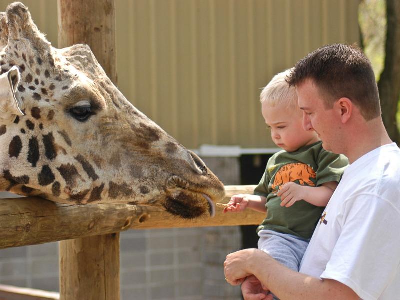 Promised Land Zoo