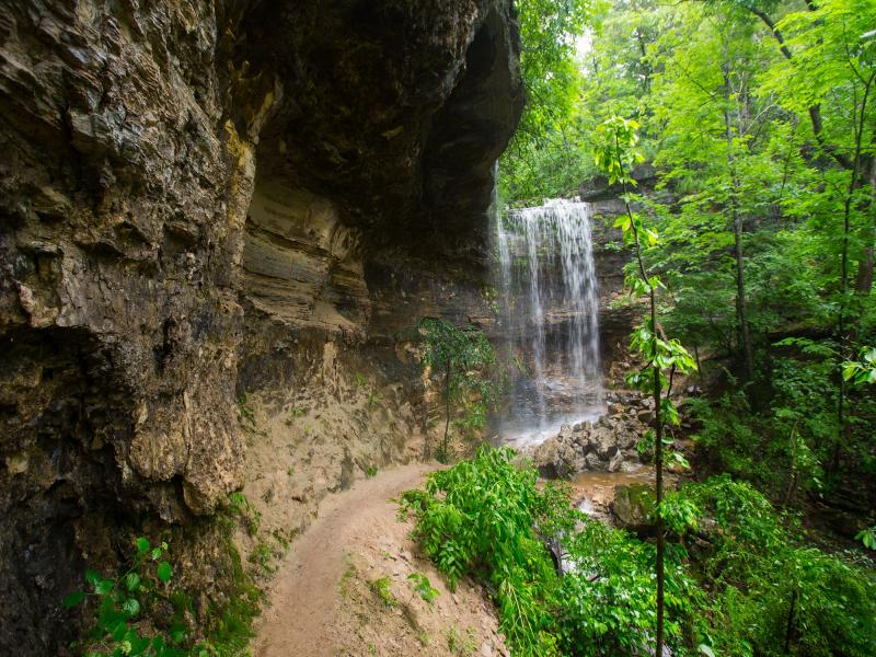 Lakeside_Forest_Wilderness_Area_Trail_Waterfall