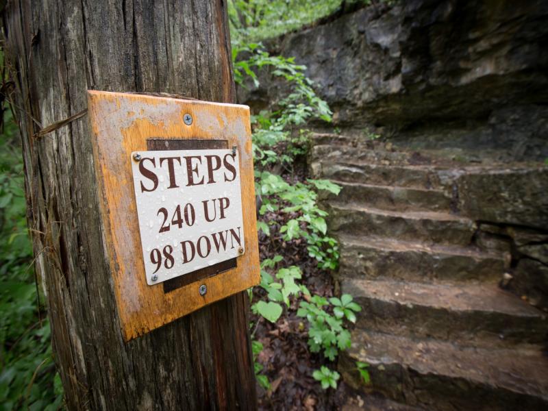 Lakeside_Forest_Wilderness_Trail_Stairs