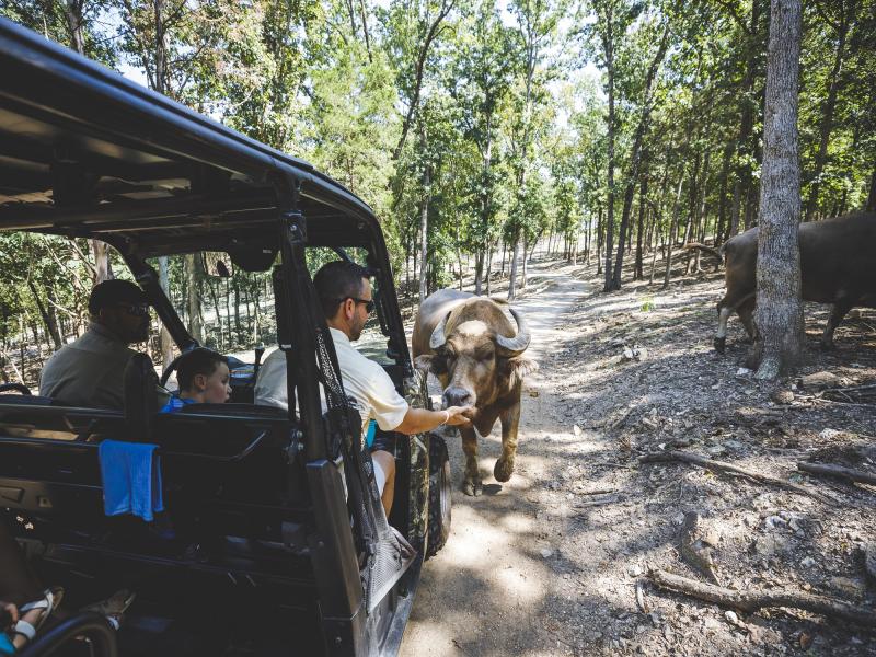 Promised Land Zoo Drive Through Hero