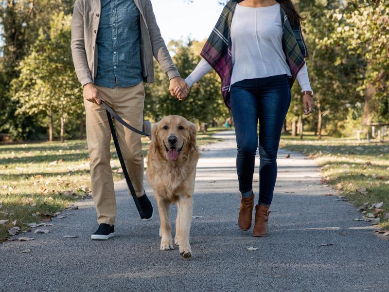 Fall_Walk_Trail_Couple_Dog