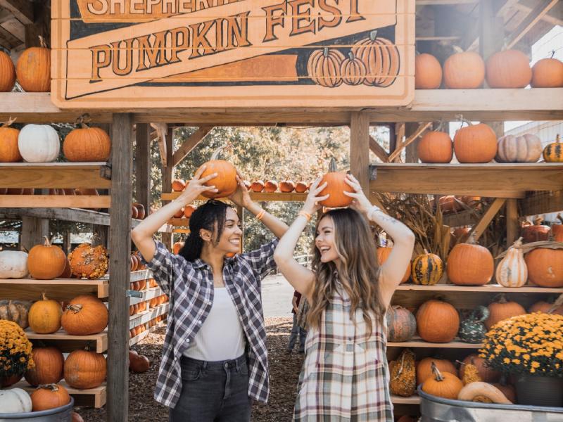 PumpkinFest