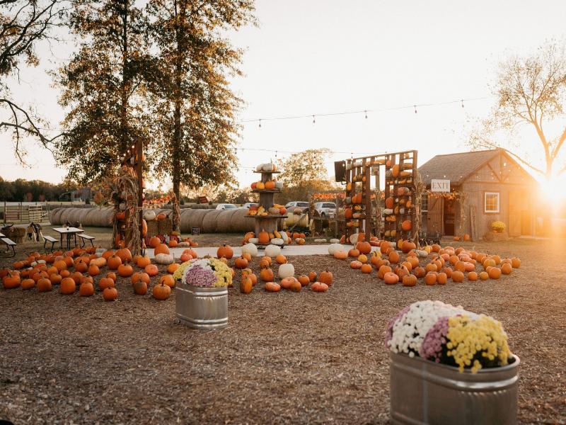 SycamoreCreekFallRoundup_Fall_Festival