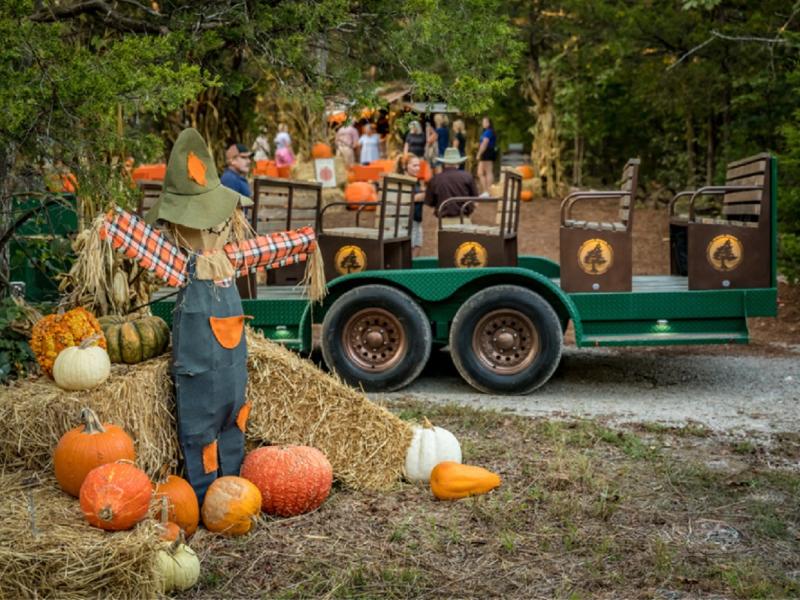 Branson Mo Fall Festivals 2025