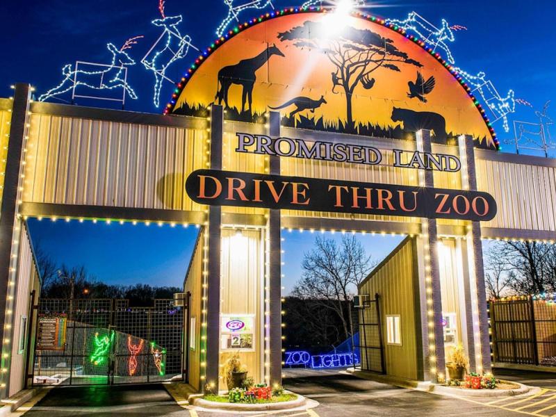 Let_There_Be_Lights_Promised_Land_Zoo