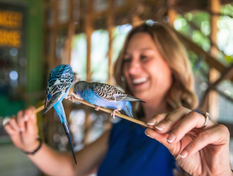 a woman smiles while holding two small blue birds on a stick in front of her at Promised Land Zoo