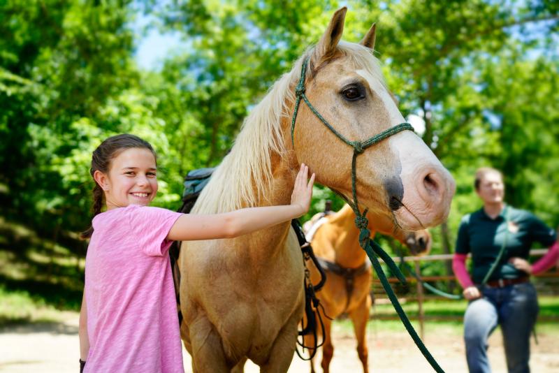 a girl petting the snout of a horse