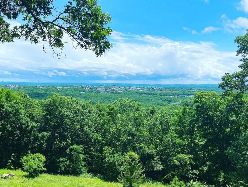 scenic view of Branson from afar